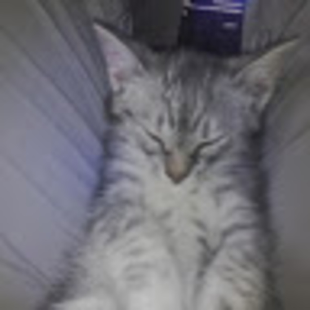 Meet your Posher, Barbara